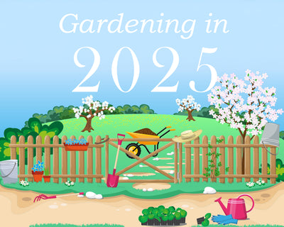 Gardening Trends For 2025