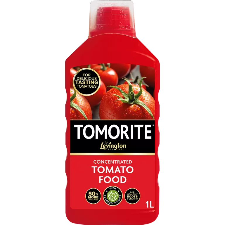 Tomorite